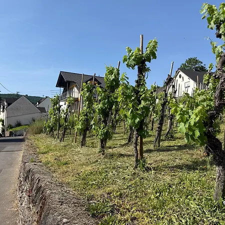 Moselurlaub In Stilvollem Ambiente *